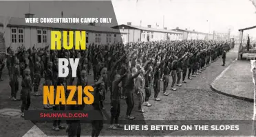 Beyond Nazi Germany: The Global History of Concentration Camps