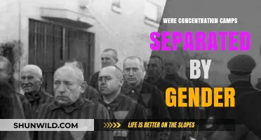 Gender Segregation in Concentration Camps: Historical Facts and Insights