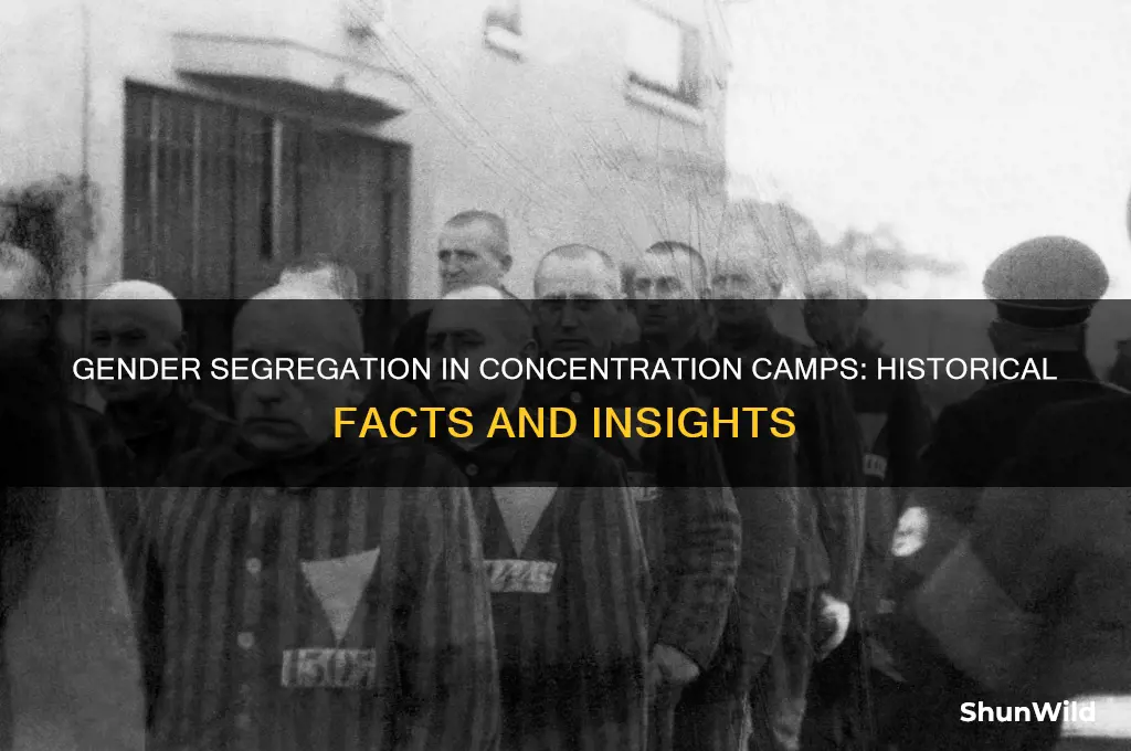 were concentration camps separated by gender