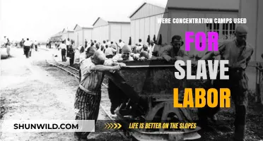 Concentration Camps: Exploiting Slave Labor in Nazi Germany's War Machine
