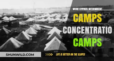 Cyprus Internment Camps: Concentration Camps or Something Different?