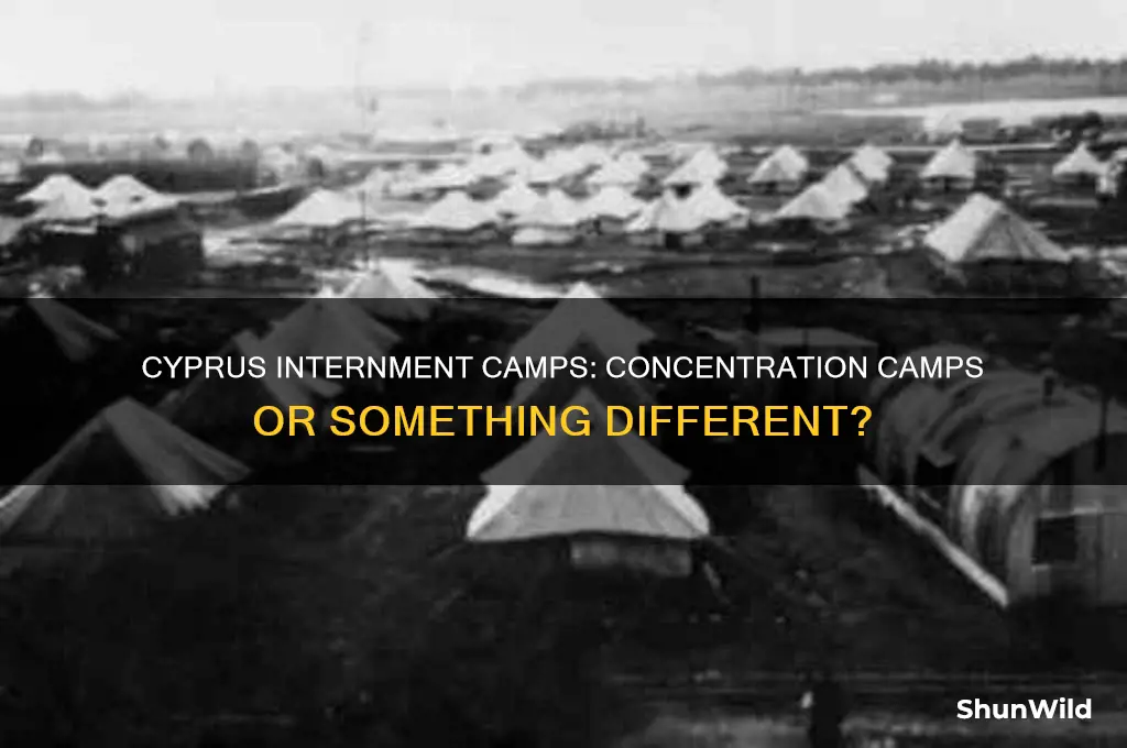 were cyprus internment camps concentration camps