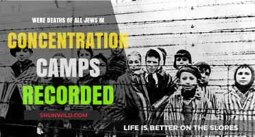 Were All Jewish Deaths in Concentration Camps Documented?