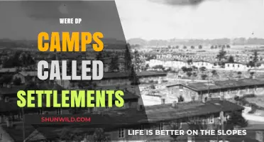 Were DP Camps Settlements? Unraveling Post-WWII Refugee Housing Terminology