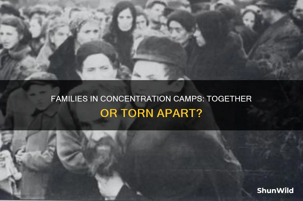 were families kept together in concentration camps