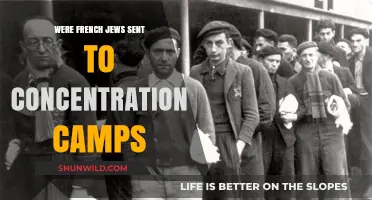 The Fate of French Jews: Deportation to Concentration Camps