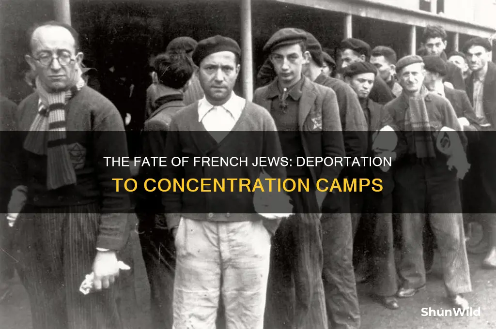 were french jews sent to concentration camps