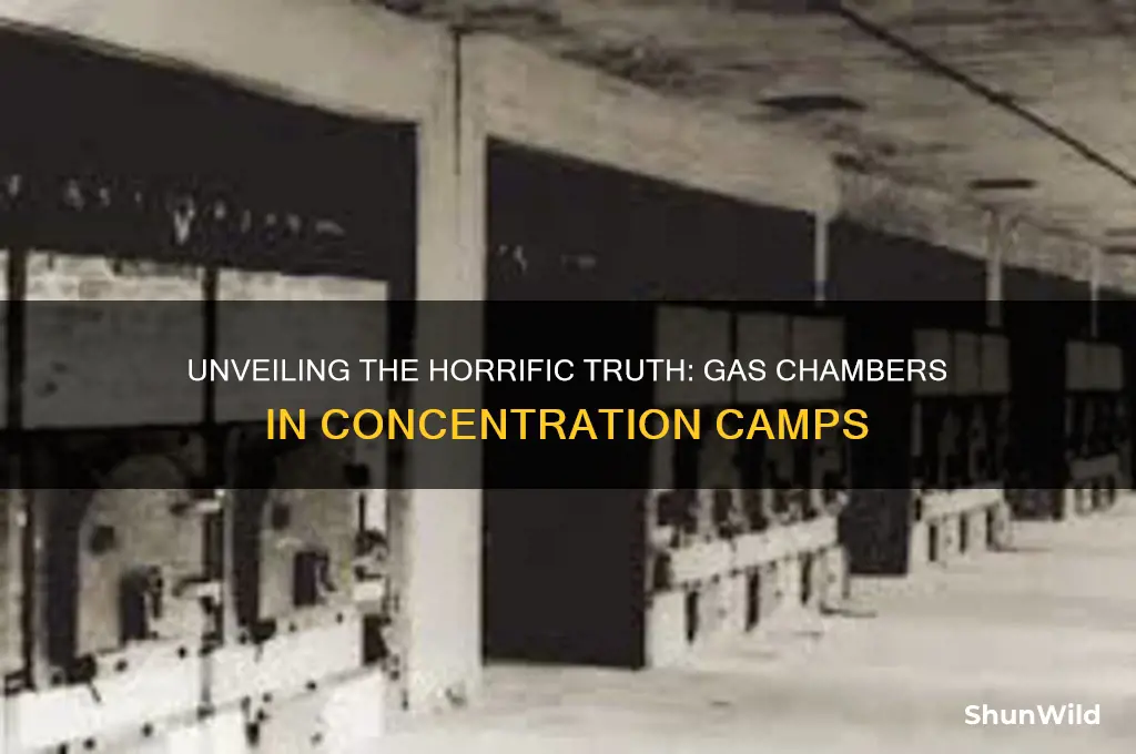 were gas chambers at concentration camps