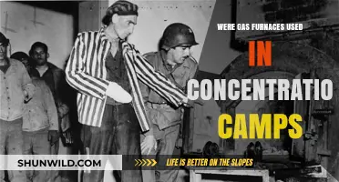 Gas Furnaces in Concentration Camps: Historical Facts and Misconceptions