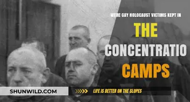 Gay Holocaust Victims: Life and Death in Concentration Camps