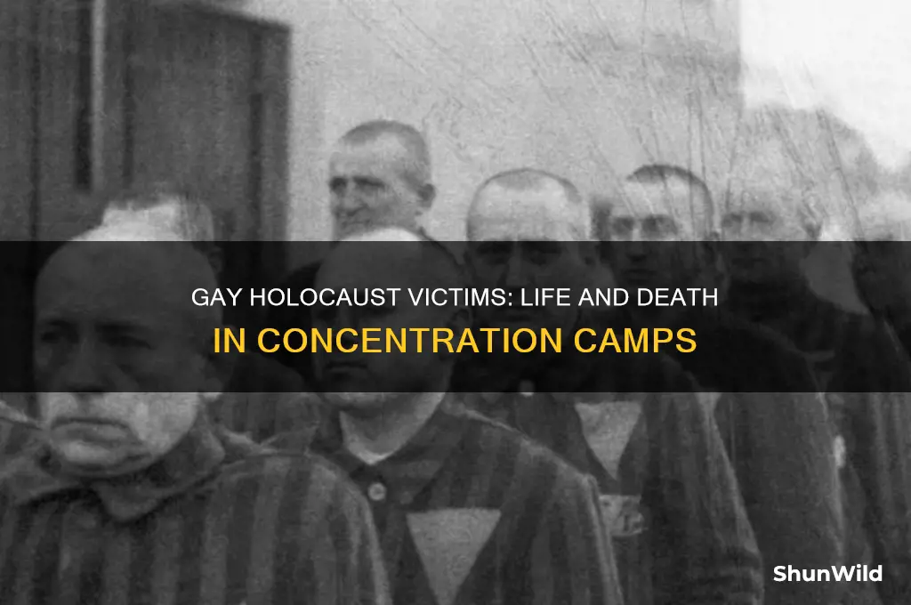 were gay holocaust victims kept in the concentration camps