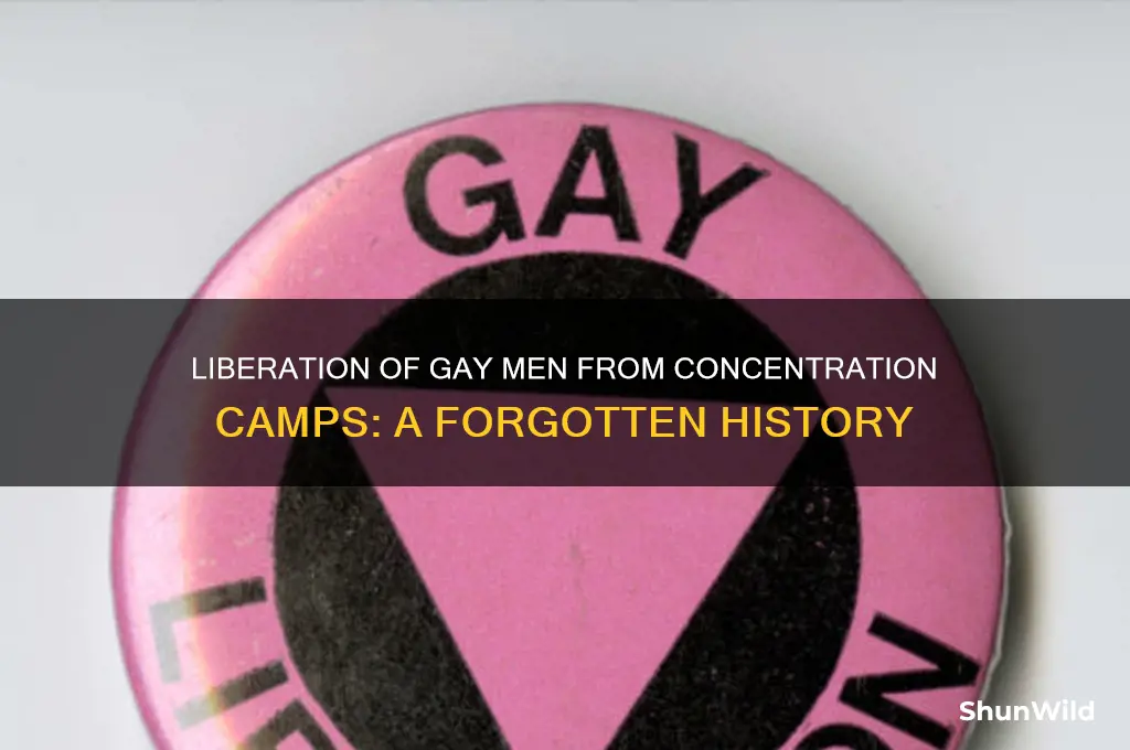 were gay men liberated from concentration camps