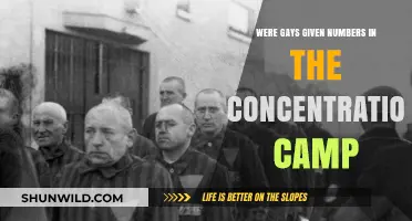 The Forgotten Numbers: Gay Persecution in Concentration Camps