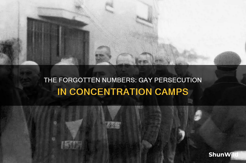 were gays given numbers in the concentration camp