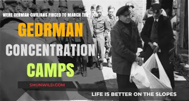 Forced Marches: German Civilians Through Concentration Camps Revealed