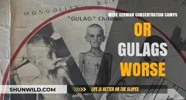 Comparing Horrors: German Concentration Camps vs. Soviet Gulags