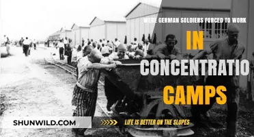German Soldiers in Concentration Camps: Forced Labor or Punishment?
