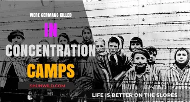 German Victims in Concentration Camps: Uncovering the Overlooked Tragedy