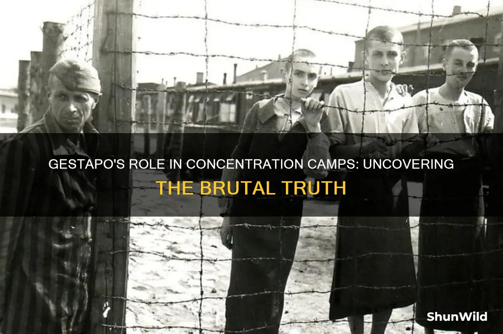 were gestapo in concentration camps