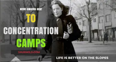Were Redheads Targeted in Concentration Camps? Uncovering Historical Truths