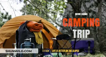 Exciting Camping Trip: Tips, Tricks, and Essentials for Outdoor Adventure