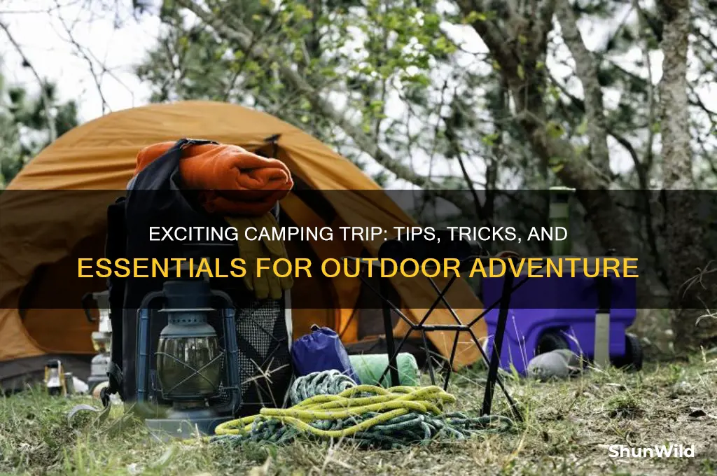 were going camping trip