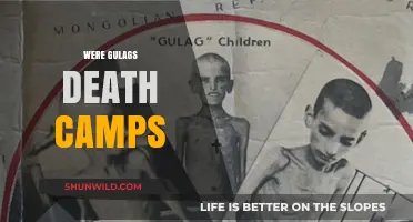 Gulags: Death Camps or Labor Prisons? Uncovering Soviet History