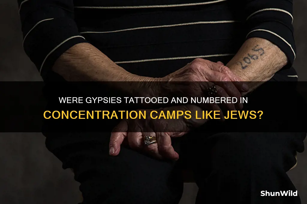 were gypsies given numbers like jewish people in concentration camps