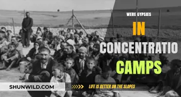 The Forgotten Victims: Gypsies in Nazi Concentration Camps
