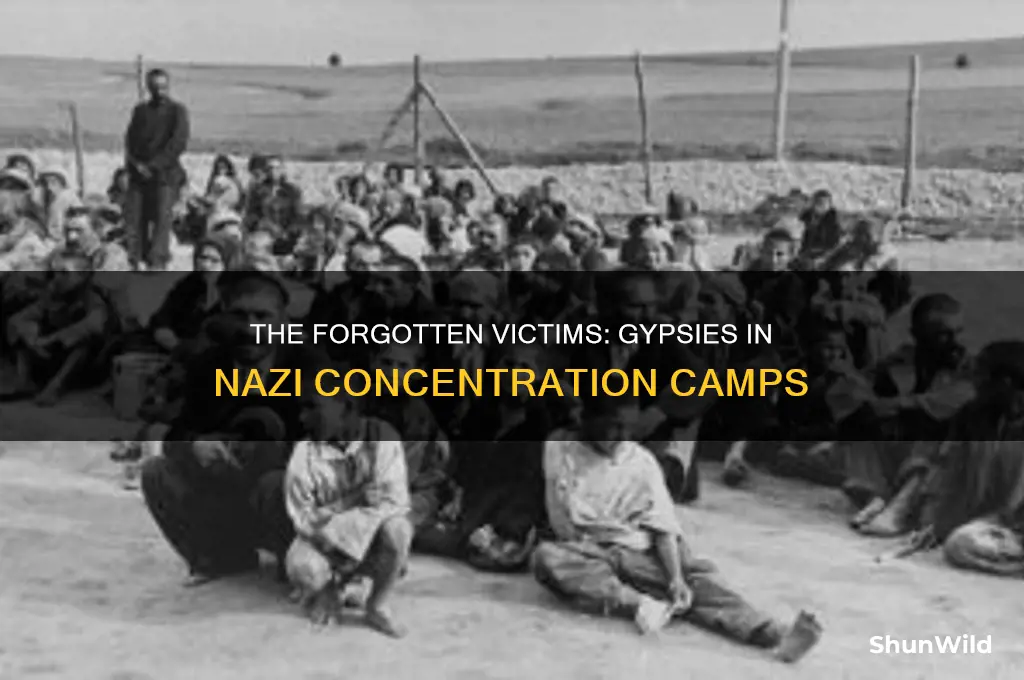 were gypsies in concentration camps