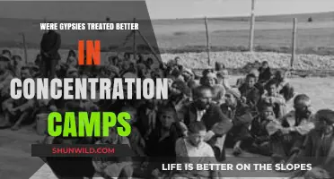 Gypsies in Concentration Camps: Treatment and Historical Perspective