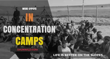 Forgotten Victims: Gypsies' Plight in Nazi Concentration Camps Revealed