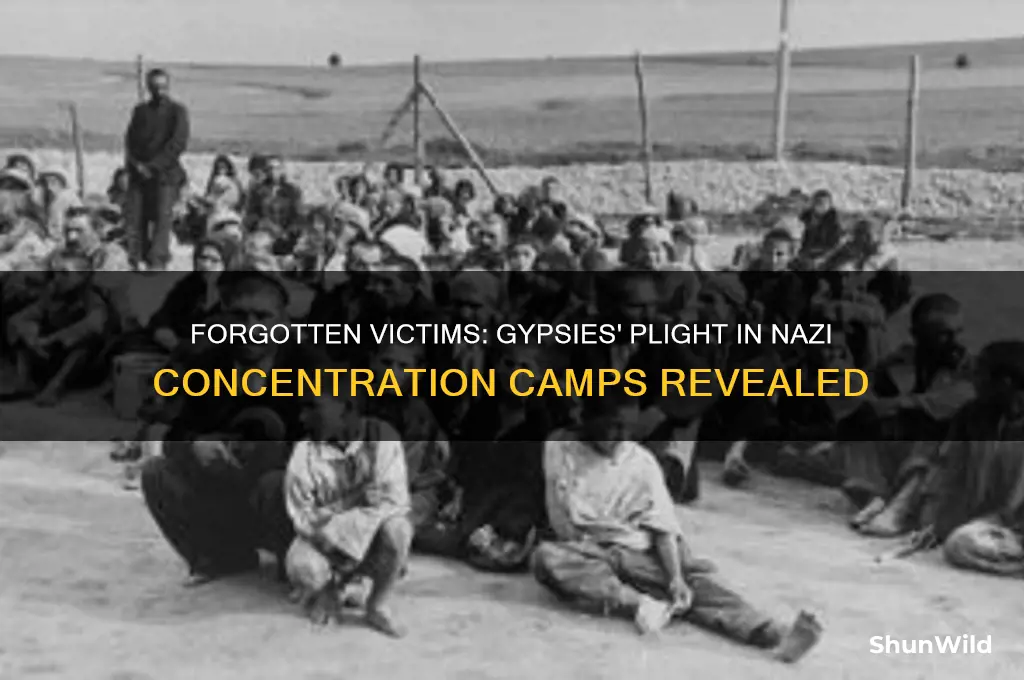 were gypsys in concentration camps