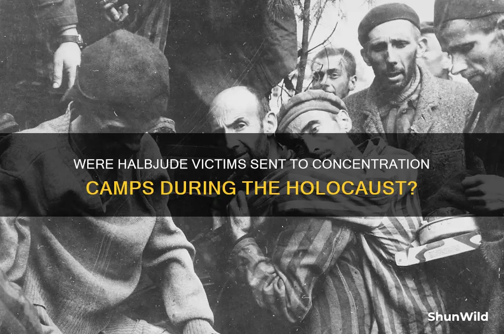 were halbjude put into concentration camps