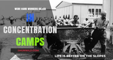 Hard Workers in Concentration Camps: A Tragic History of Exploitation