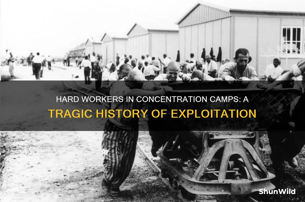 were hard workers killed in concentration camps