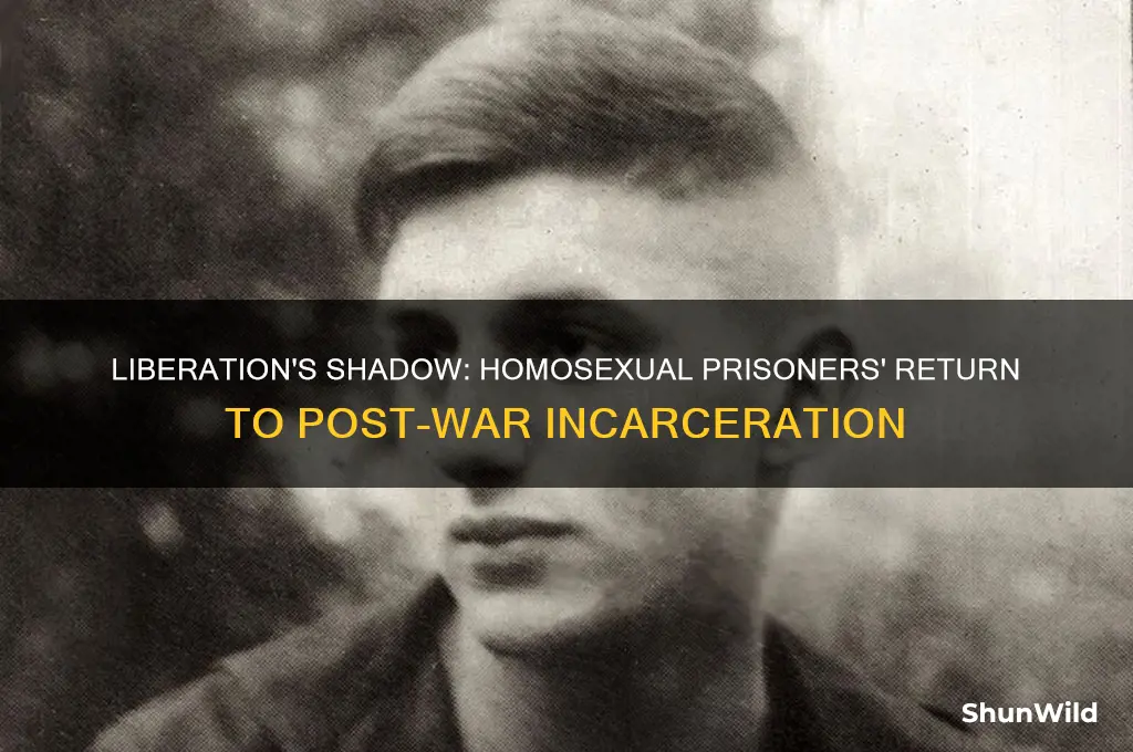 were homosexuals returned to prison after concentration camp liberation
