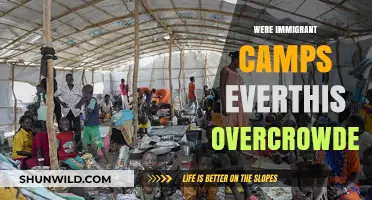 Overcrowded Immigrant Camps: Historical Realities and Humanitarian Challenges
