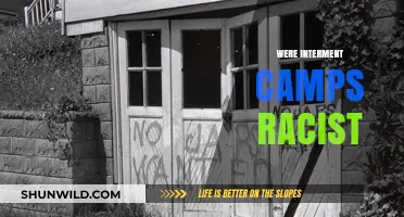 Were Internment Camps Racist? Examining Historical Injustices and Prejudice