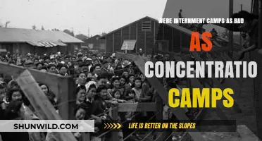 Comparing Internment and Concentration Camps: Uncovering Historical Realities and Differences