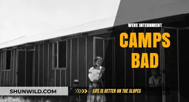 Internment Camps: Uncovering the Dark Legacy of Injustice and Suffering