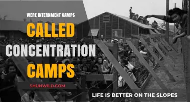 Were Internment Camps Actually Concentration Camps? Uncovering Historical Truths