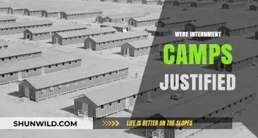 Were Internment Camps Justified? Examining History, Morality, and Consequences