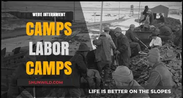 Were Internment Camps Actually Forced Labor Camps? Uncovering the Truth