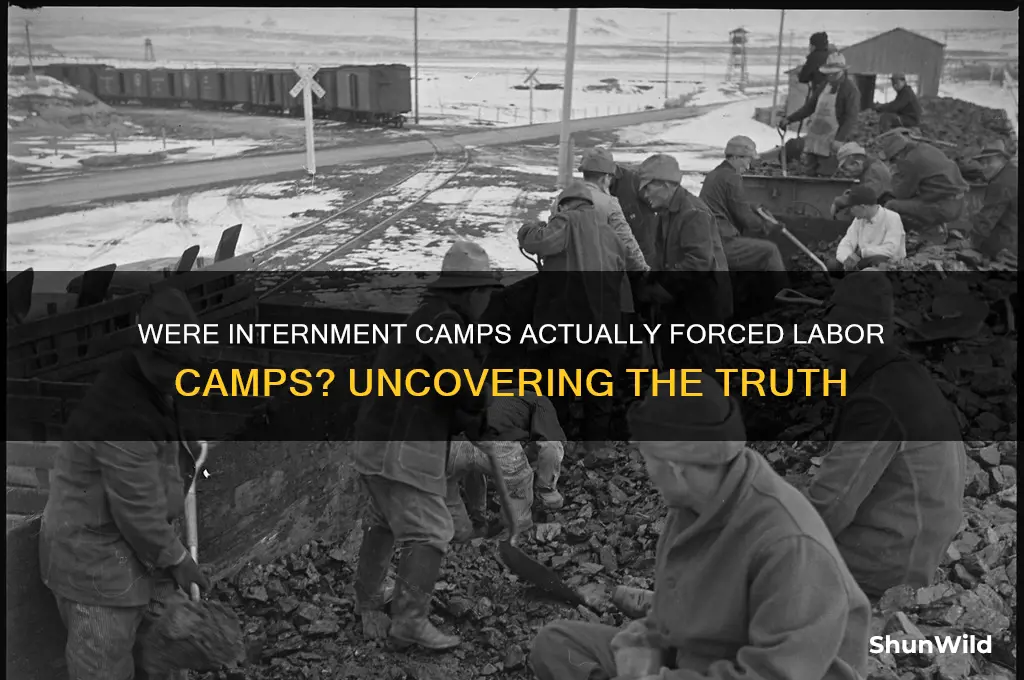 were internment camps labor camps