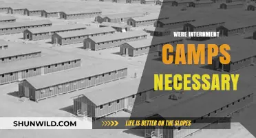 Were Internment Camps Necessary? Examining Historical Justifications and Consequences