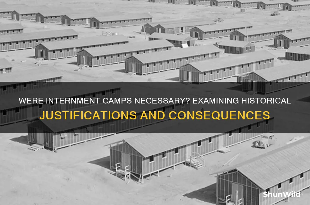 were internment camps necessary