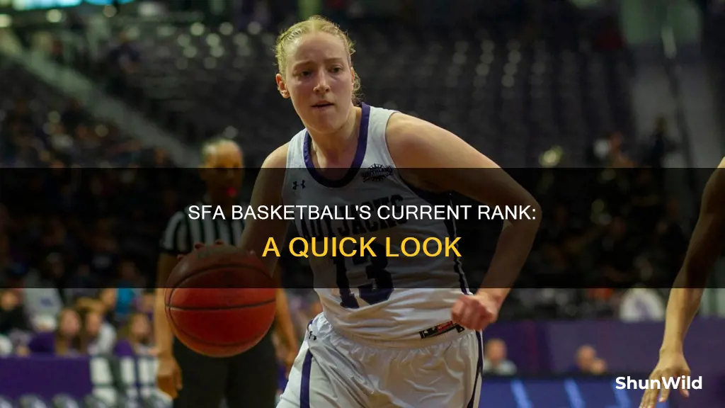 were is sfa basketball ranked