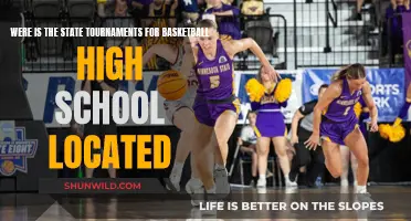 Where to Watch: State Basketball Tournaments Across the Nation