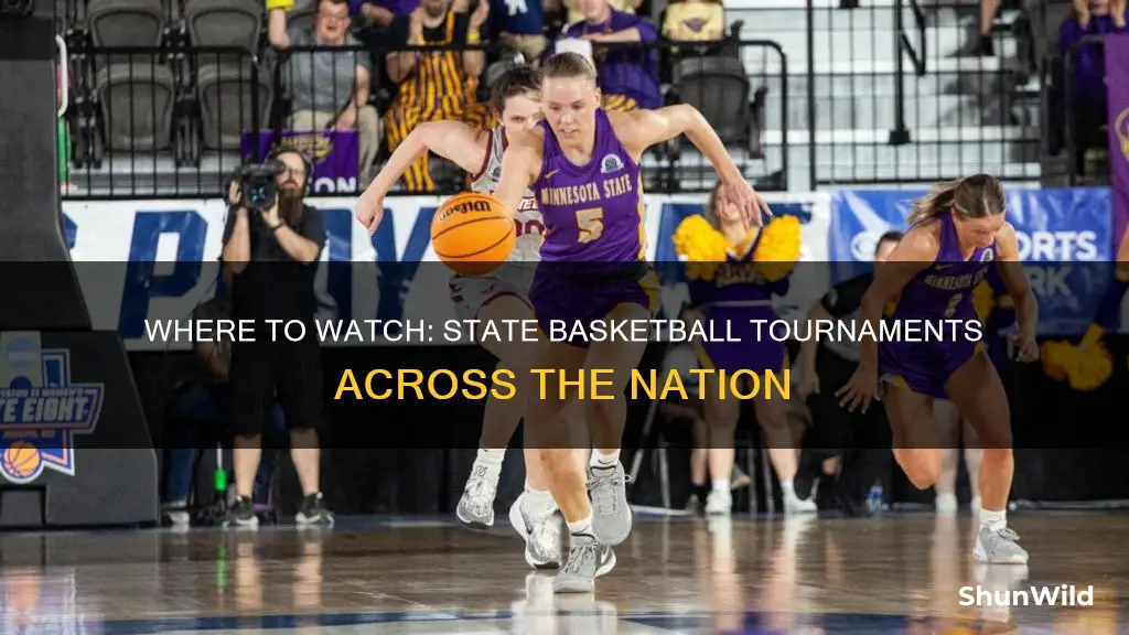 were is the state tournaments for basketball high school located
